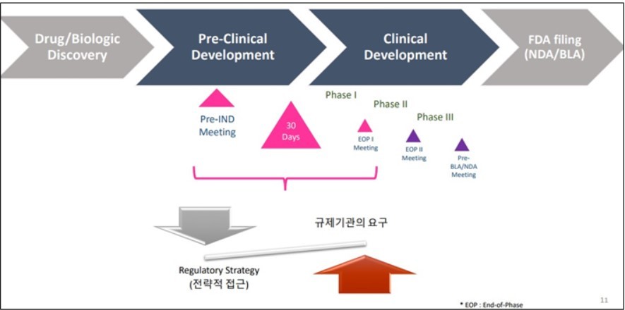 FDA 신약 개발 단계 중 KDDF '글로벌 RA 지원사업' 범위 (자료 출처 : KDDF 발표자료)