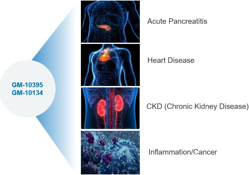 GM-10395, GM10134의 적응증 범위 / 출처=회사 IR 자료