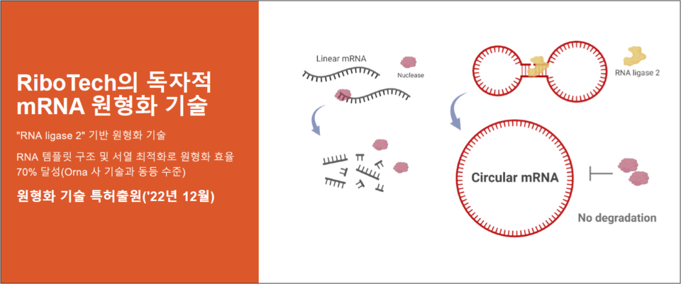 보텍 이미지