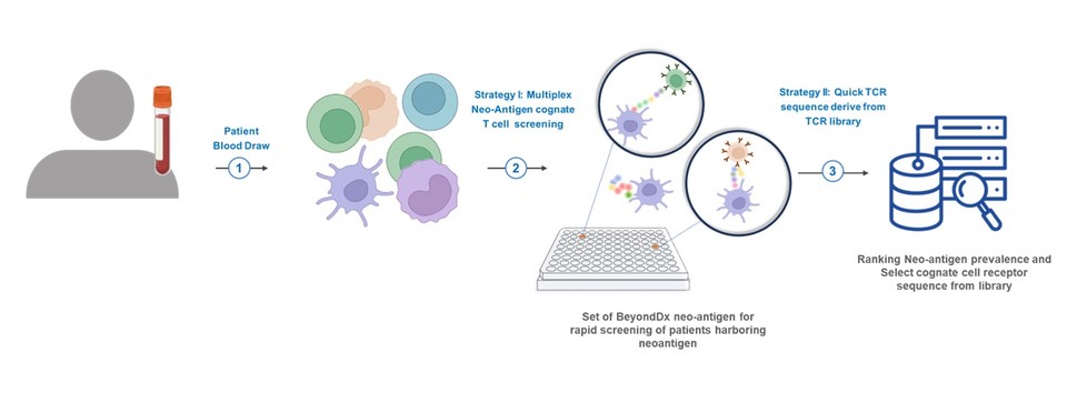 iDXGate IO(TCR profiling) 개요 그림