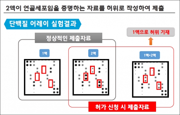 인보사 허위자료 제출 근거 1 (식약처 제공)