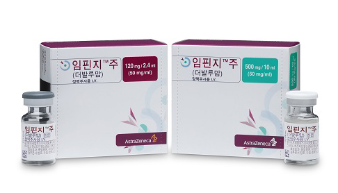 라이브 바카라