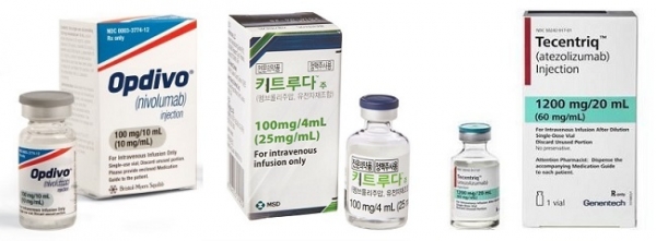 슬롯사이트 업