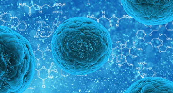 세포를 넘어 미생물 자체를 약으로 개발하려는 '마이크로바이옴'을 활용한 신약개발 부터, 세포 유래물질인 '엑소좀'을 활용한 신약개발까지 다양한 신약개발 기술들이 속속 등장하고 있다. 