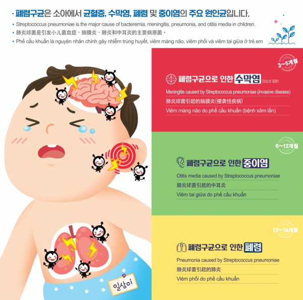 다문화가정 폐렴구균백신 다국어 브로슈어