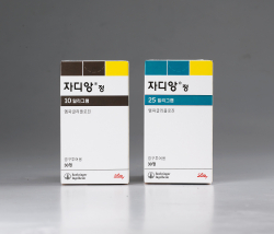 무료 바카라 게임