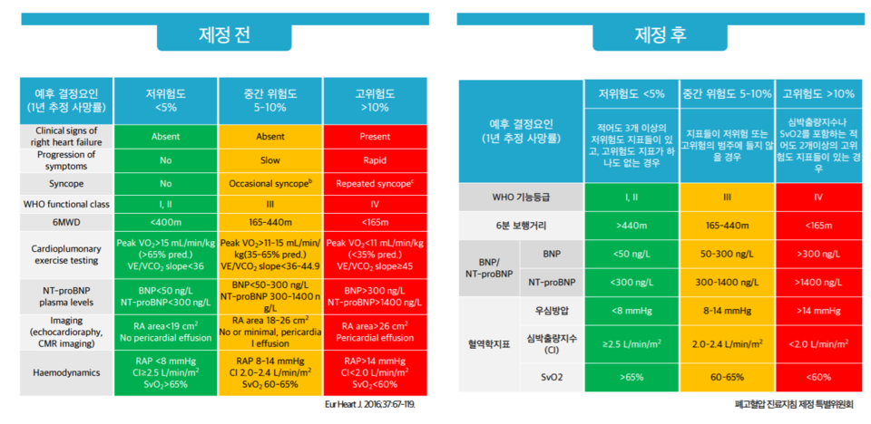 이번 한국형 진료지침에서 단순화된 위험도 평가 