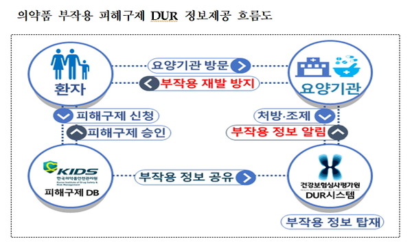 의약품 부작용 피해구제 DUR 정보제공 흐름도 (사진제공=정부부처 합동 보도자료)