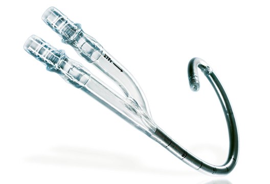  Avalon Elite BiCaval Dual Lumen Catheter