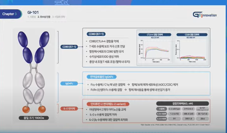 GI-101 구조 및 작용원리[출처=2020 대한민국 바이오 투자 콘퍼런스 발표 캡처]