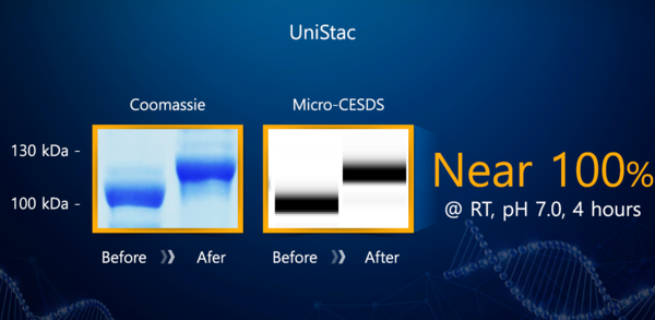 결합효율 100%에 가까운 자료.