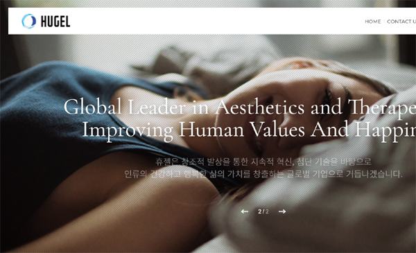 휴젤 홈페이지 캡처