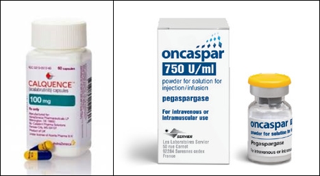 백혈병 신약 두 품목 아스트라제네카 만성 림프구성 백혈병(CLL) 치료제 칼퀸스, 급성 림프구성 백혈병 (ALL) 치료제 온카스파