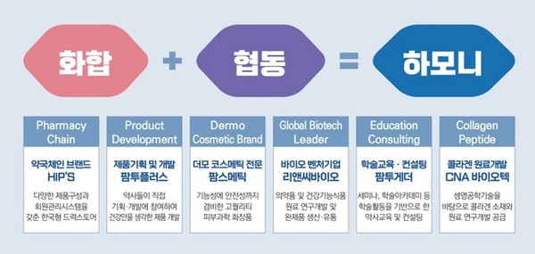 팜듀홀딩스 그룹 관계사 모식도