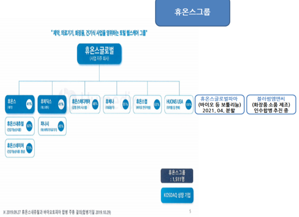 올 상반기 휴온스그룹이 신설법인을 추가했을 때의 상황을 고려한 모식도.