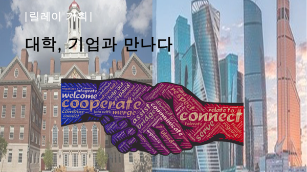 하이 로우 토토 사이트