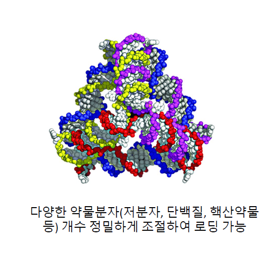 테트라 헤드론 구조를 가진 하이 로우 토토 사이트 구조체