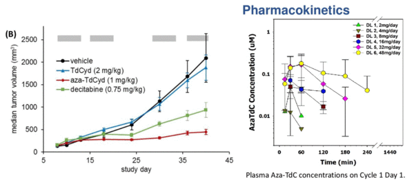 기존 약물(Decitabine, TdCyd) 대비 높은 항암효과를 보이는 Aza-T-dCyd의 전임상 시험 결과 (좌), Aza-T-dCyd의 PK 프로파일(우) / 자료 제공: NCI (ASCO 2021, Poster Presentation, Abstract #3088)
