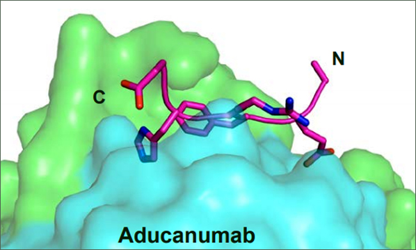 미국식품의약품 미디어용 보도자료 발췌