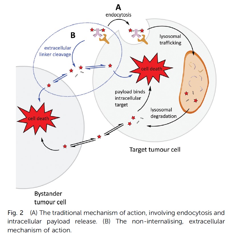Bargh, J. D., et al. (2019) https://pubmed.ncbi.nlm.nih.gov/31294429/