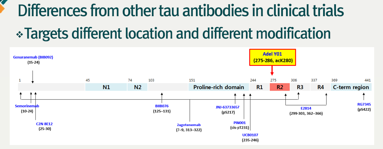 아델의 타우 단백질 타깃 항체 의약품 후보물질 구조[출처=아델 IR 자료]