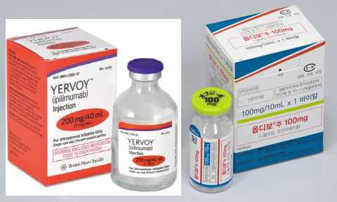 여보이는 옵디보와 병용으로 내달 1일부터 신장암에 급여사용이 가능하다.