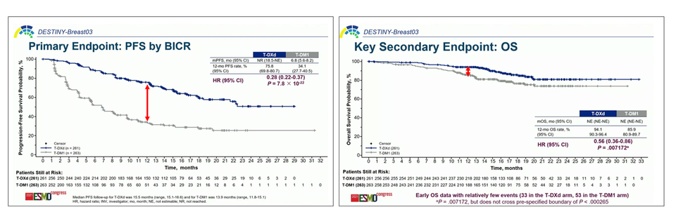 향후 전체생존기간 중앙값, 24개월-전체생존기간율 데이터가 발표된다면, 엔허투의 생존 혜택은 좀 더 명확해질 것이다.