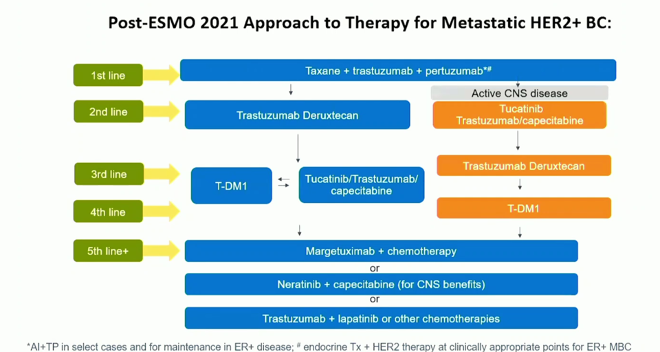 초청 토론자 Shanu Modi가 정리한 DESNTY-breat03 연구 이후 HER2 양성 유방암 전신 항암 요법. HER2 양성 전이성 유방암 환자들도 뇌전이 빈도는 높다. 투가티닙(tucatinib, Seagen)이 있긴 하지만, 뇌전이 환자에 대한 미충족 의료 수요는 존재한다.