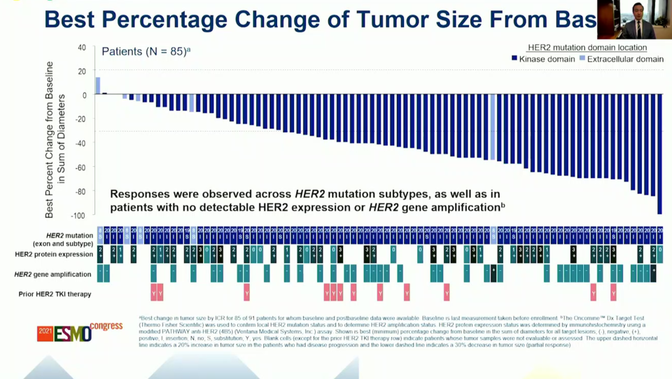 엔허투의 HER2 돌연변이 비소세포폐암 환자 데이터. 반응자의 개별 특성을 살펴보면, HER2 엑손20 삽입 돌연변이가 있는 환자에서 좋은 반응이 있었고 HER2 저발현, HER2 증폭 환자에서도 반응이 있었다. 이전에 HER2 타이로신 카이네이즈 저해제 투여 경험이 있는 환자에서도 반응이 있었다.