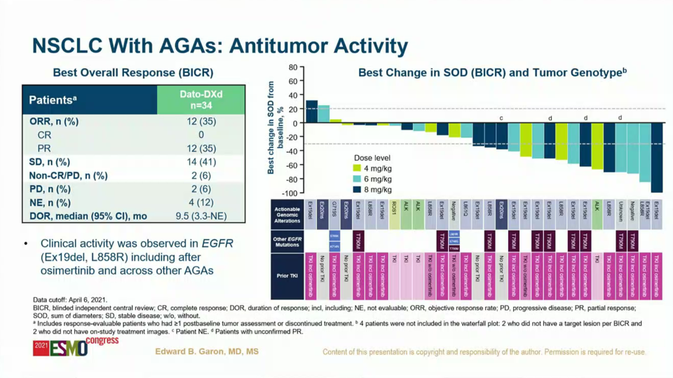 전체 반응률(ORR)은 35%(12/34)였고 다양한 돌연변이에서 반응이 있었다. 반응자의 상당수는 타그리소 투여 경험이 있는 환자였다.