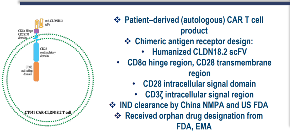 CARsgen Slide, 24/09/2021. CT041은 자가 유래 CAR-T 세포(autologous)이고 CAR 디자인은 기존 2세대 CAR-T와 다르지 않다. CLDN scFv/CD8a Hinge/CD28 TM domain/CD28 costimulatory domain/CD3 zeta activation domain.