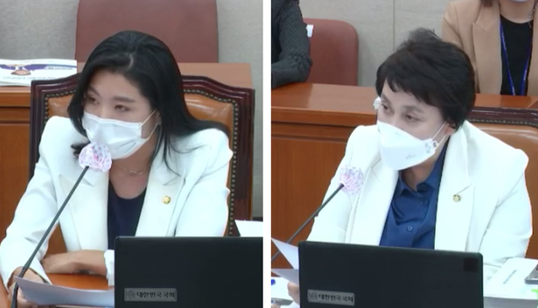더불어민주당 신현영(왼쪽), 정춘숙 의원
