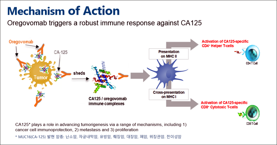 오레고보맙 작용 기전. 출처=회사 IR 자료집