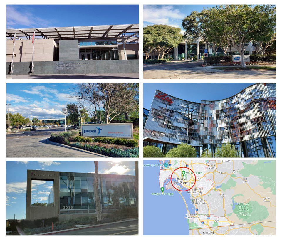 샌디에이고에 있는 Novartis, Pfizer, Janssen, Eli Lilly, Bristol Myers Squibb 등 글로벌 제약회사. 캘리포니아에는 3100개 넘는 바이오텍 및 제약회사가 있다. 그 중 약 16% (약 500여개)가 샌디에이고에 위치해 있다.