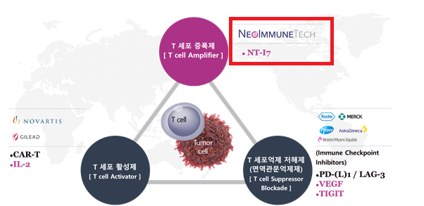 T세포 중심의 면역항암제 기전에 따른 역할 구분. 사진=네오이뮨텍 IR 자료집