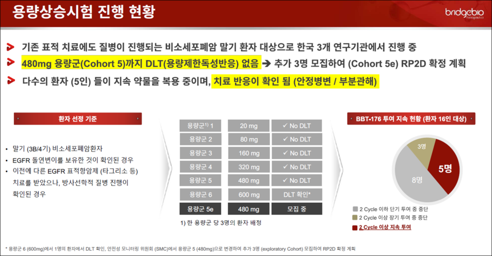 용량상승시험 진행 현황. 사진=브릿지바이오 IR 자료집