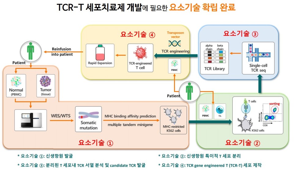 네오젠TC TCR-T 세포치료제 개발에 필요한 요소기술 (자료 출처 : 네오젠TC)