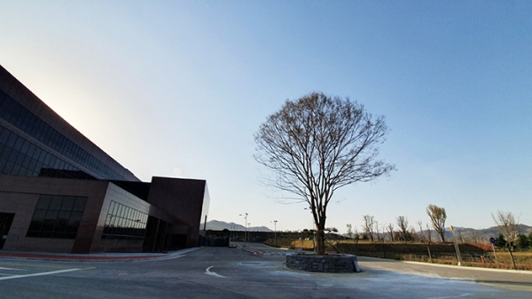 보령제약은 2019년 4월 예산캠퍼스에 수령 62년의 느티나무를 심었다. 느티나무는 1000년 이상 생명력을 가진 나무. 김승호 회장은 느티나무를 통해 글로벌 보령제약의 1000년의 꿈도 함께 심었다.(사진제공, 보령제약)