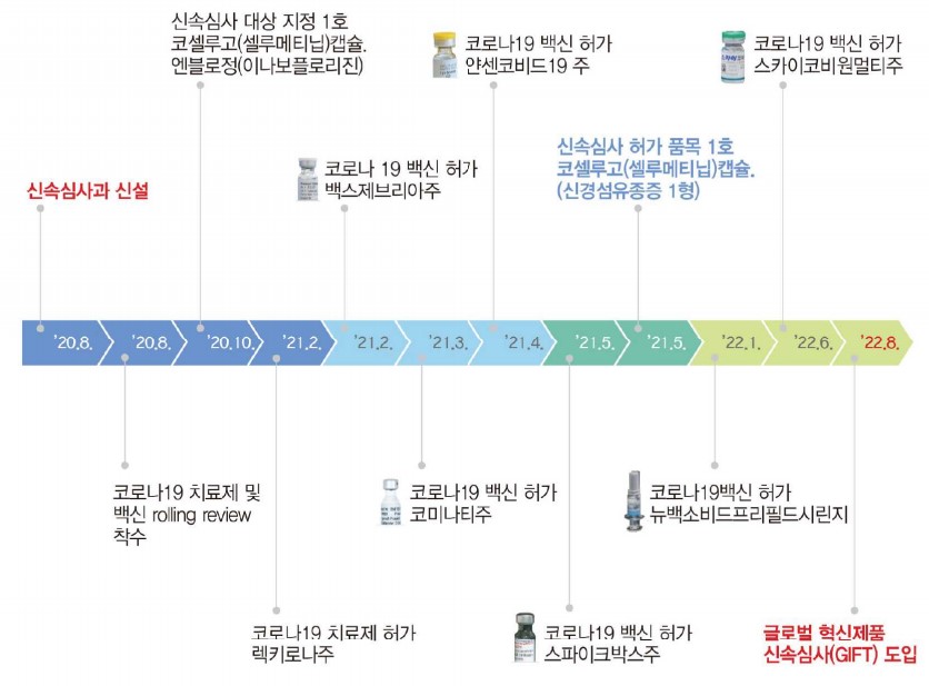 신속심사 진행 현황 (자료 출처 : 식약처 '의약품 신속심사 보고서')