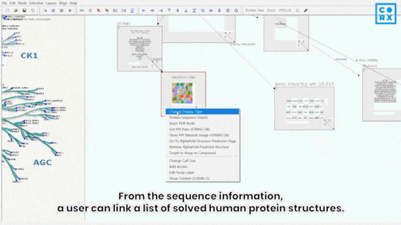 CEEK-CURE 시연 영상 (2/2)