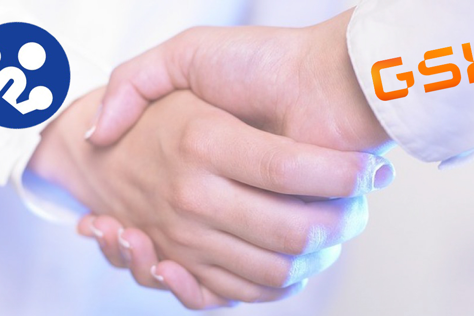 하이 로우 토토 사이트