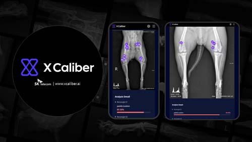 SKT의 수의학 X-Ray 영상진단 서비스 'X Calibre Vet AI'는 Vision AI'