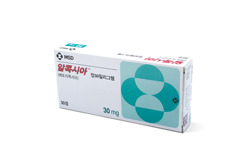 바카라 토토