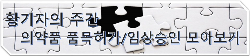 사설 바카라