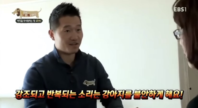 애견 행동교정 프로그램 '세상에 나쁜 개는 없다'의 한 장면 (출처 : EBS)