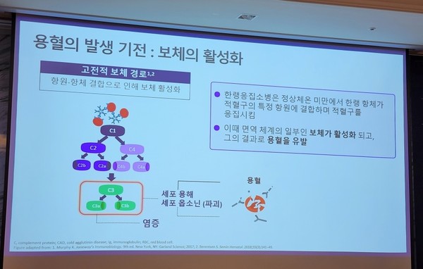 일반적인 용혈 발생 기전