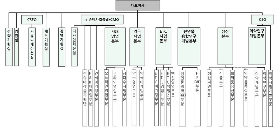 광동제약 조직도 / 자료=광동제약 사업보고서