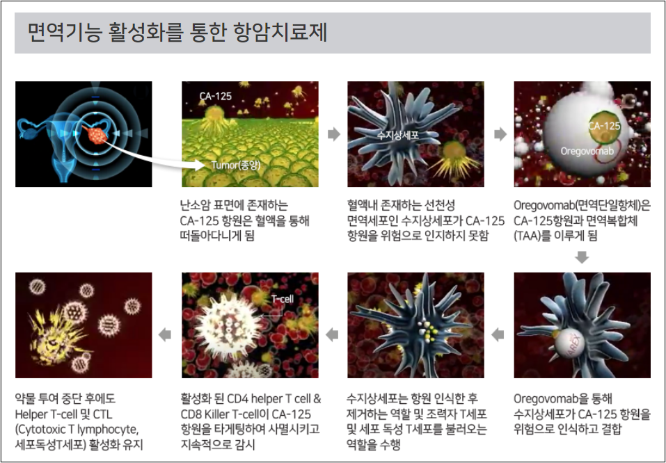 오레고보맙은 환자의 혈액 내 난소암 종양표지자인 CA-125 항원에 결합해 그 결합체로 환자 인체 내 면역성과 T세포(T-cell)를 활성화시켜 암세포를 사멸시킨다. 출처=카나리아바이오 홈페이지