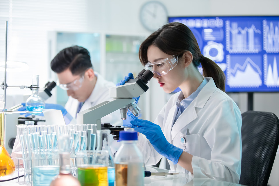 메이저 바카라 사이트