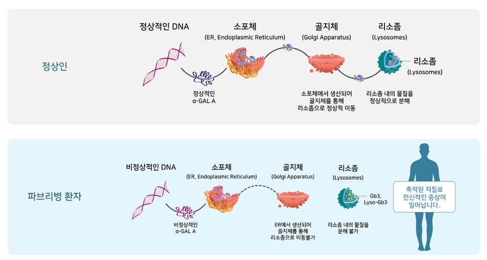 출처 = 바카라사이트코리아